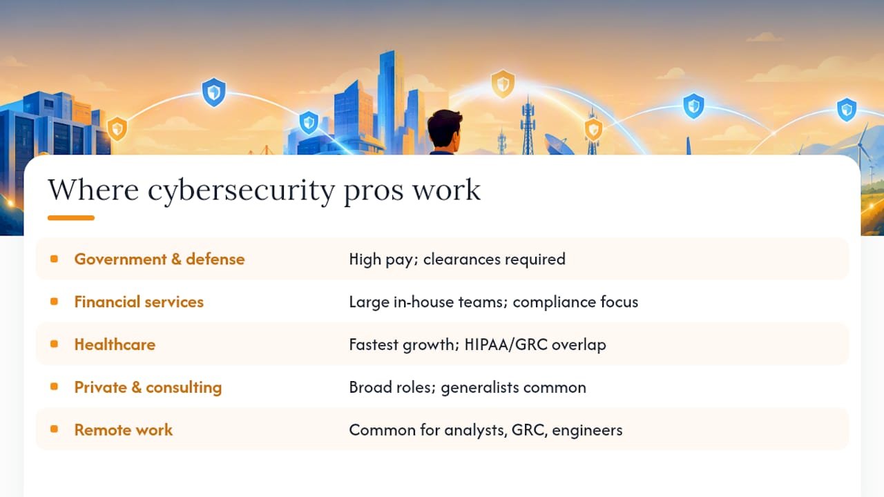 Where Do Cybersecurity Professionals Actually Work? — overview diagram